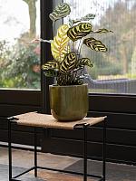 Кашпо Nine pot olive green D14 H12 см