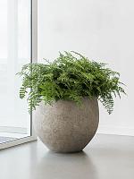 Кашпо Urban jumbo orb xxs beige washed D53 H45 см