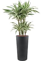 Кашпо Grigio vase tall anthracite D36 H68 см