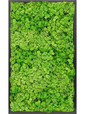 Картина из мха mdf ral 9005 satin gloss 100% reindeer moss (light grass green) Картина из мха mdf ral 9005 satin gloss 100% reindeer moss (light grass green)