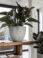 Кашпо Oyster jesslyn xs imperial white D42 H36 см