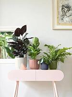 Кашпо Vibes fold round mini anthracite D7 H6.5 см