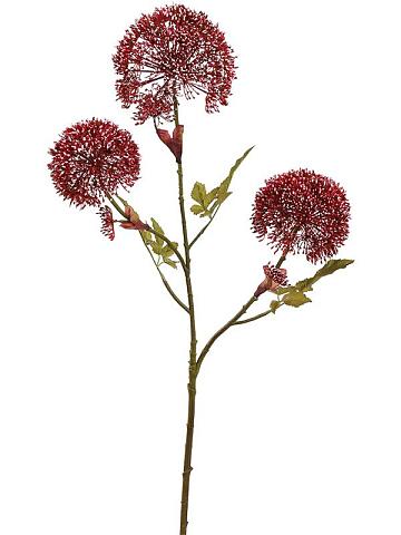 Борщевик цветущий искусственный Борщевик цветущий искусственный