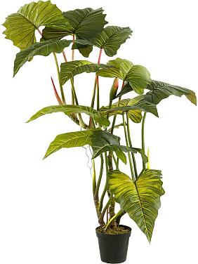 Колоказия в горшке искусственная Колоказия в горшке искусственная