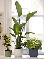 Кашпо Vibes fold round fern green D22 H20 см