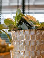 Кашпо Stian pot soft jade D25 H22 см