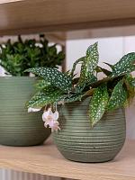 Кашпо Lydia pot shiny green D18 H16 см