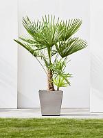 Кашпо Ecopots rotterdam wheels 50 taupe L50 W50 H48 см