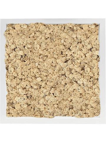 Картина из мха mdf ral 9010 satin gloss 100% reindeer moss (natural) Картина из мха mdf ral 9010 satin gloss 100% reindeer moss (natural)