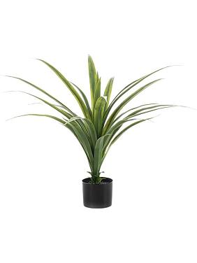 Драцена искусственная Драцена искусственная