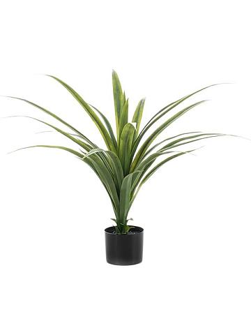 Драцена искусственная