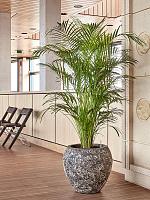 Кашпо Baq lava balloon relic rust metal D54 H50 см Кашпо Baq lava balloon relic rust metal D54 H50 см