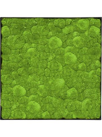 Картина из мха nova frame anthracite-concrete 100% ball moss Картина из мха nova frame anthracite-concrete 100% ball moss