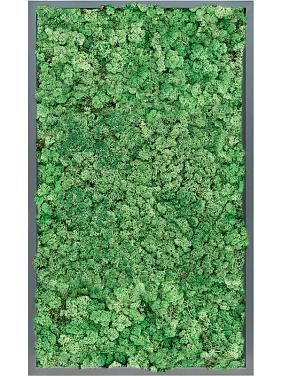 Картина из мха mdf ral 7016 satin gloss 100% reindeer (grass green) Картина из мха mdf ral 7016 satin gloss 100% reindeer (grass green)