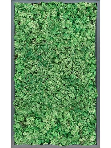Картина из мха mdf ral 7016 satin gloss 100% reindeer (grass green) Картина из мха mdf ral 7016 satin gloss 100% reindeer (grass green)