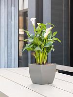 Кашпо Baq ecoline phoenix regular cube L18 W18 H17 см