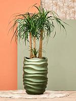 Кашпо Baq gradient lee partner matt forest green (с техническим горшком) D40 H61 см