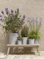 Кашпо Rough puk m grey washed D20 H20 см