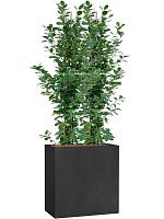 Кашпо Grigio divider anthracite L80 W30 H68 см