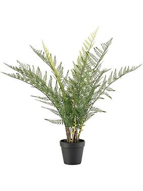 Папоротник искусственный