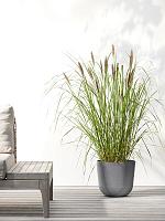 Кашпо Ecopots oslo 25 grey D25 H22 см