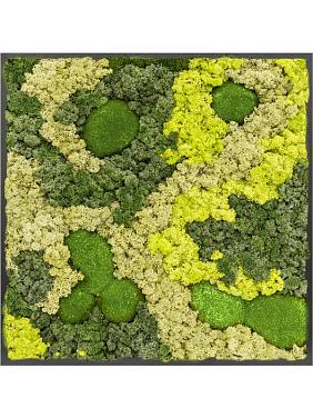 Картина из мха mdf ral 9005 satin gloss 30% ball moss 70% reindeer moss (mix) Картина из мха mdf ral 9005 satin gloss 30% ball moss 70% reindeer moss (mix)