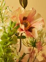 Цветок Мака персиковый искусственный W20 H90 см