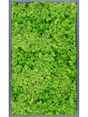 Картина из мха mdf ral 7016 satin gloss 100% reindeer (light grass green) Картина из мха mdf ral 7016 satin gloss 100% reindeer (light grass green)