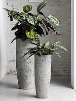 Кашпо Oyster dax xxl imperial white D46 H118 см