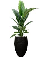 Кашпо Capi nature rib nl vase elegant deluxe black D38 H58 см Кашпо Capi nature rib nl vase elegant deluxe black D38 H58 см