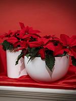 Кашпо Fiberstone peter s matt white D20 H12 см