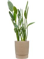 Кашпо Chao pot concrete D37 H43 см Кашпо Chao pot concrete D37 H43 см