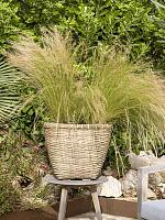 Кашпо Bohemian enrico l bamboo L50 H41 см Кашпо Bohemian enrico l bamboo L50 H41 см