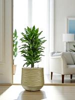 Кашпо Baq dune darcy green D41 H37 см Кашпо Baq dune darcy green D41 H37 см