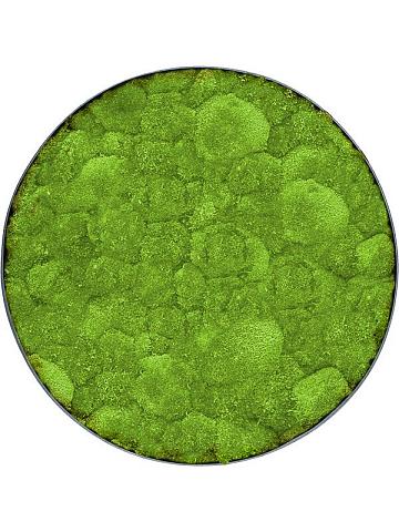 Картина из мха nova frame anthracite-concrete 100% ball moss Картина из мха nova frame anthracite-concrete 100% ball moss