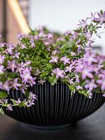 Кашпо Capi nature groove bowl intense black D40 H15 см Кашпо Capi nature groove bowl intense black D40 H15 см