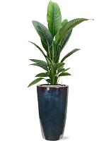 Кашпо Plain partner metal glaze D36 H70 см