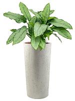 Кашпо Grigio vase tall antique white D36 H68 см