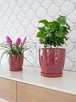 Кашпо с поддоном Vivi pot with saucer cherry D17 H16 см