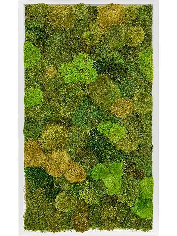 Картина из мха mdf ral 9010 satin gloss 20% flat and 80% exclusive moss (mix)