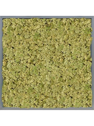 Картина из мха mdf ral 7016 satin gloss 100% reindeer (oldgreen) Картина из мха mdf ral 7016 satin gloss 100% reindeer (oldgreen)