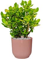 Кашпо Vibes fold round delicate pink D25 H23 см