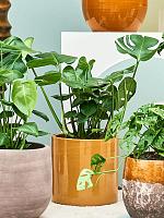 Кашпо Cylinder pot honey D30 H30 см