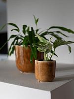 Кашпо Nine pot caramel D7 H7 см