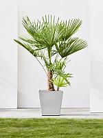 Кашпо Ecopots rotterdam wheels 50 white grey L50 W50 H48 см