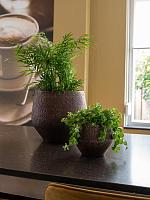 Кашпо Noor pot velvet brown D23 H20 см Кашпо Noor pot velvet brown D23 H20 см