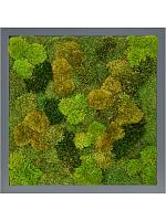Картина из мха mdf ral 7016 satin gloss 20% flat and 80% exclusive moss (mix) L60 W60 H6 см