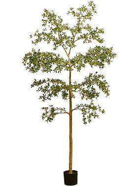 Буцида искусственная