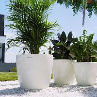 Кашпо Ola Dom Couple Deluxe (белый лакированный)