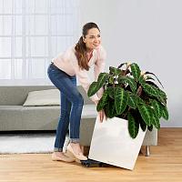 Кашпо Lechuza Cube (белый лакированный)